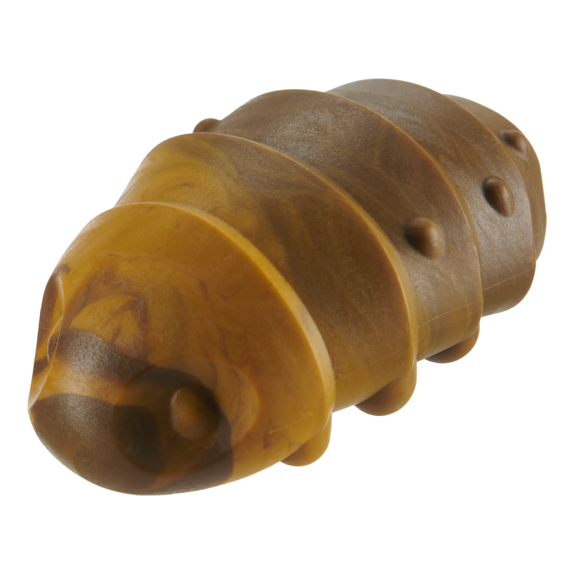 Bibikely Hissing Roach