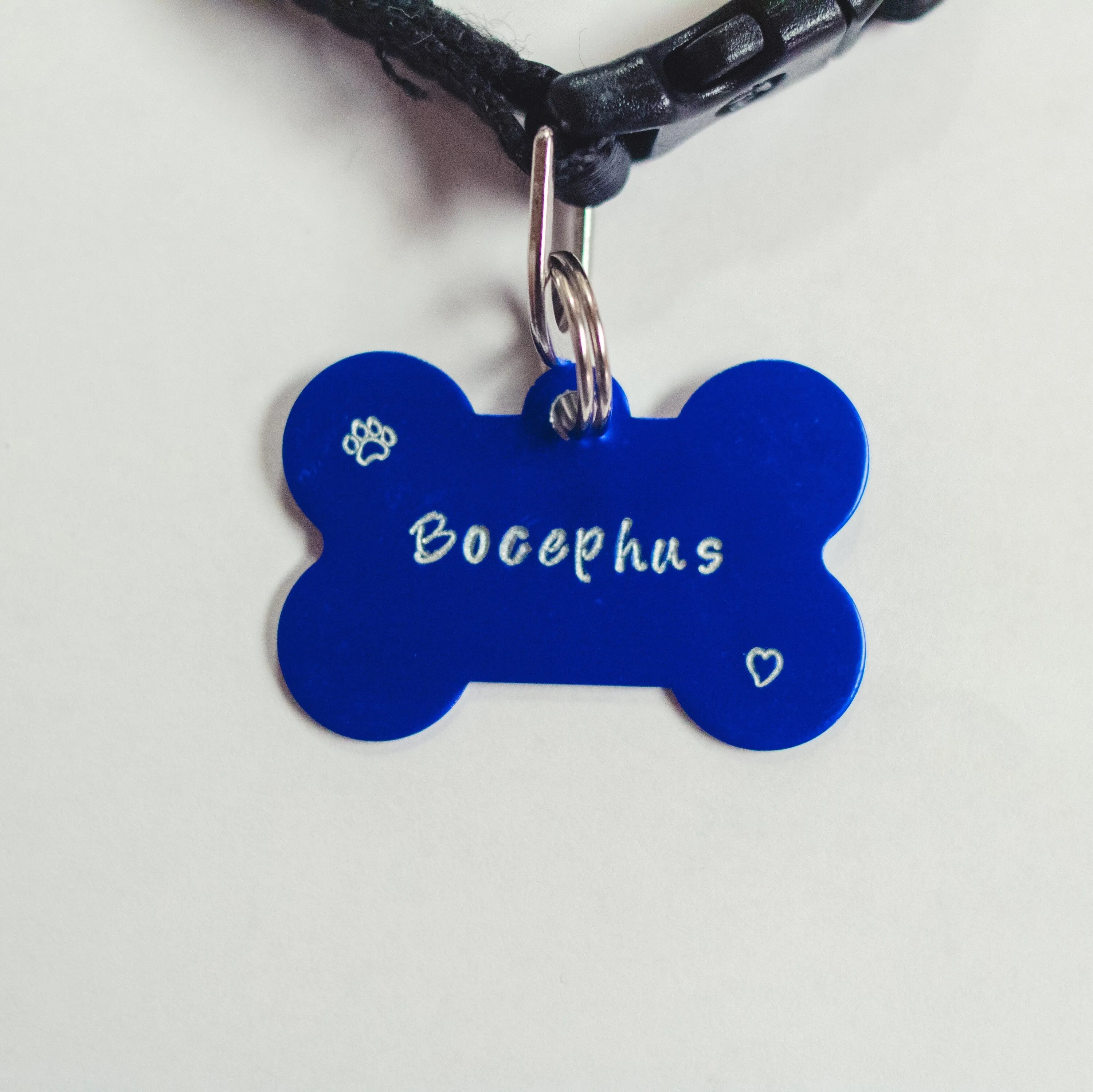 BLUE PET ID TAG