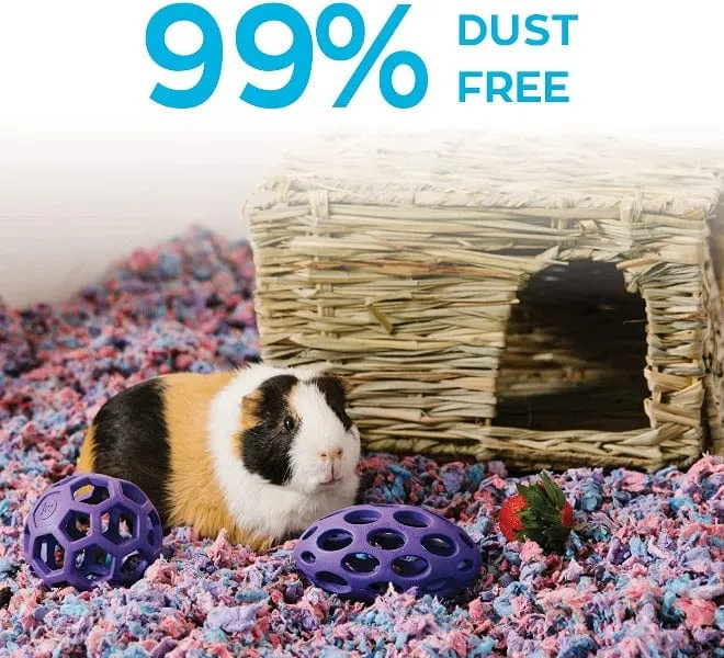 CareFresh Confetti Small Pet Bedding