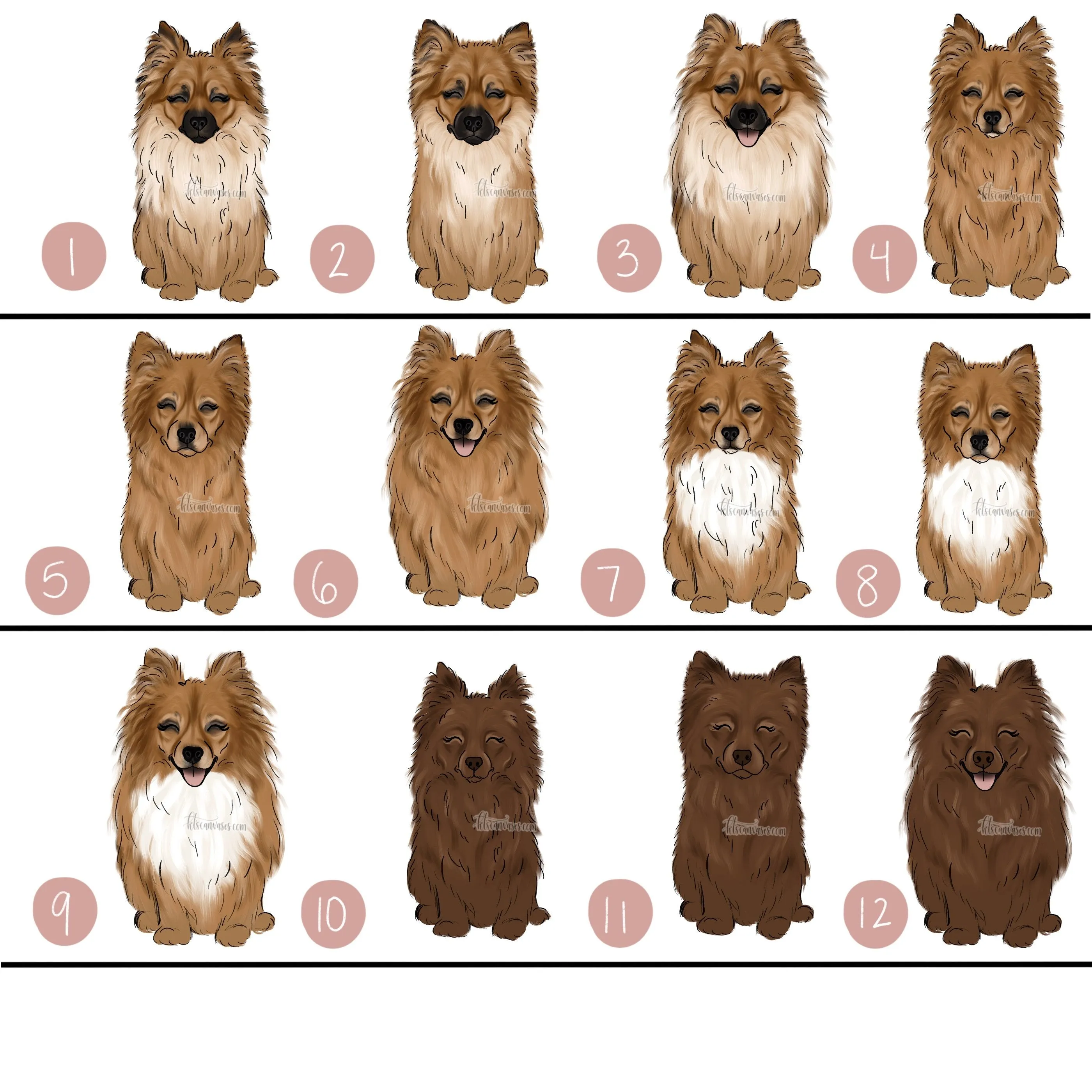 Choose Your POMERANIAN Art Print