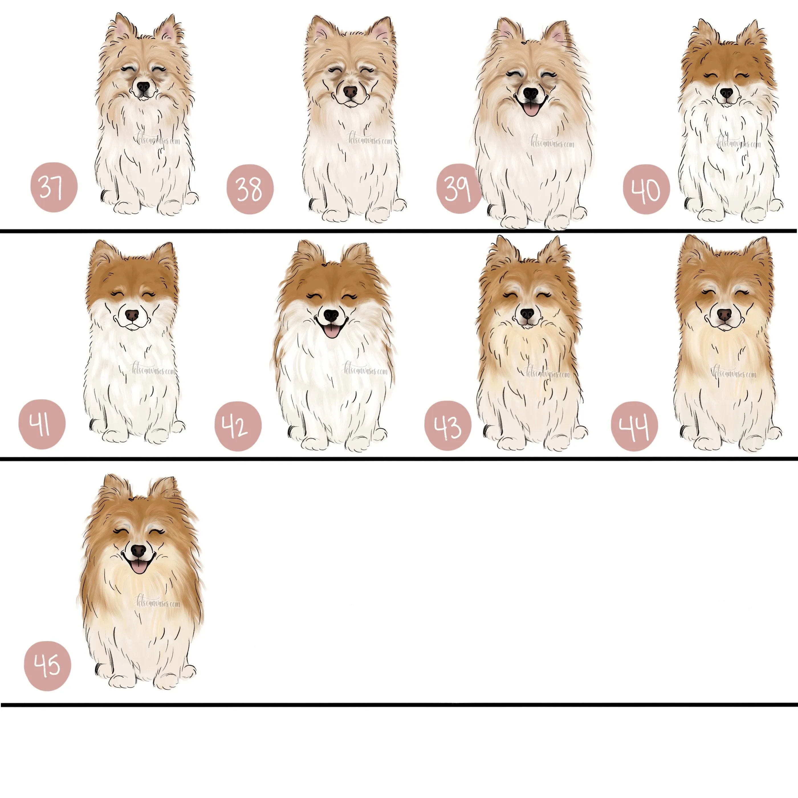 Choose Your POMERANIAN Art Print