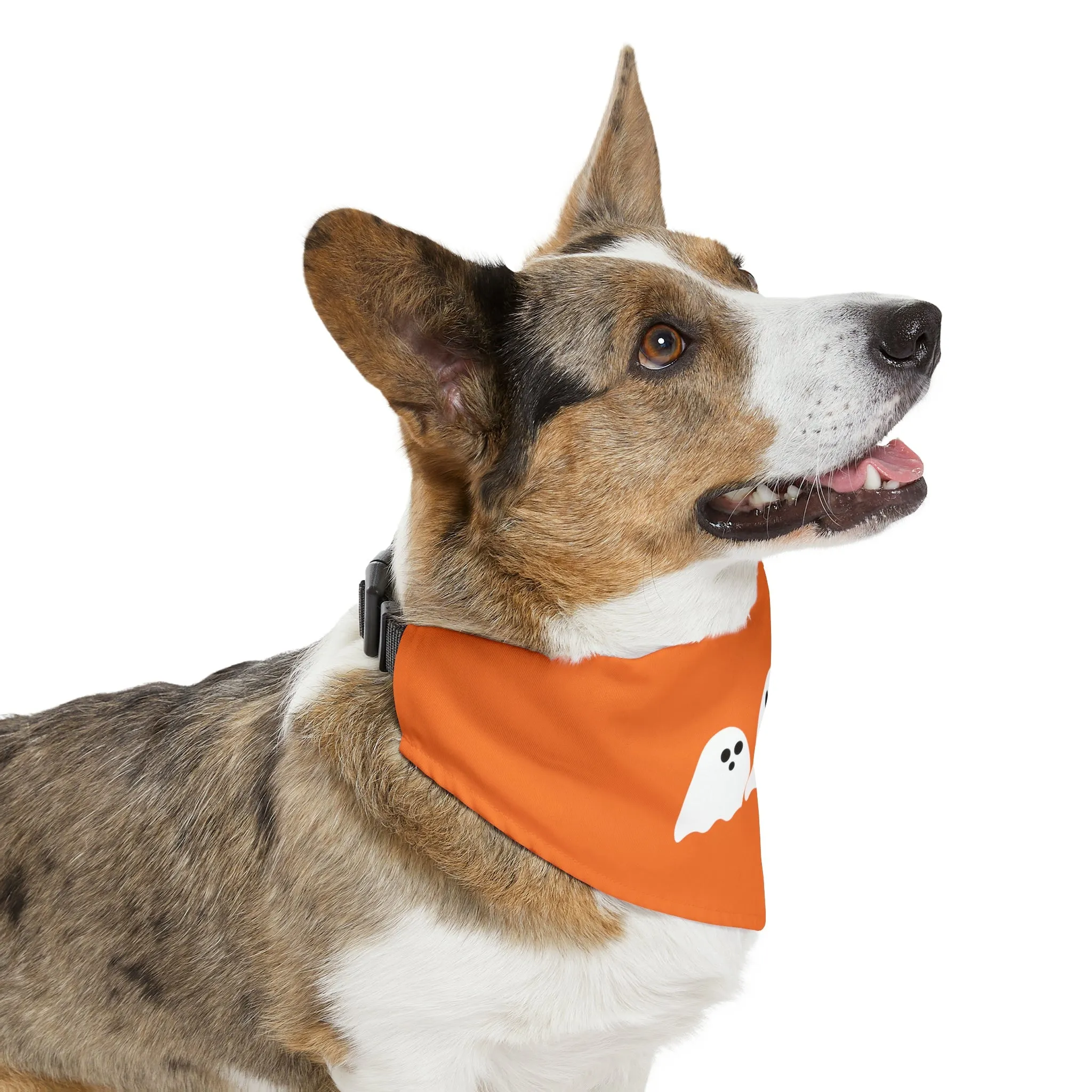 Halloween Pet Bandana