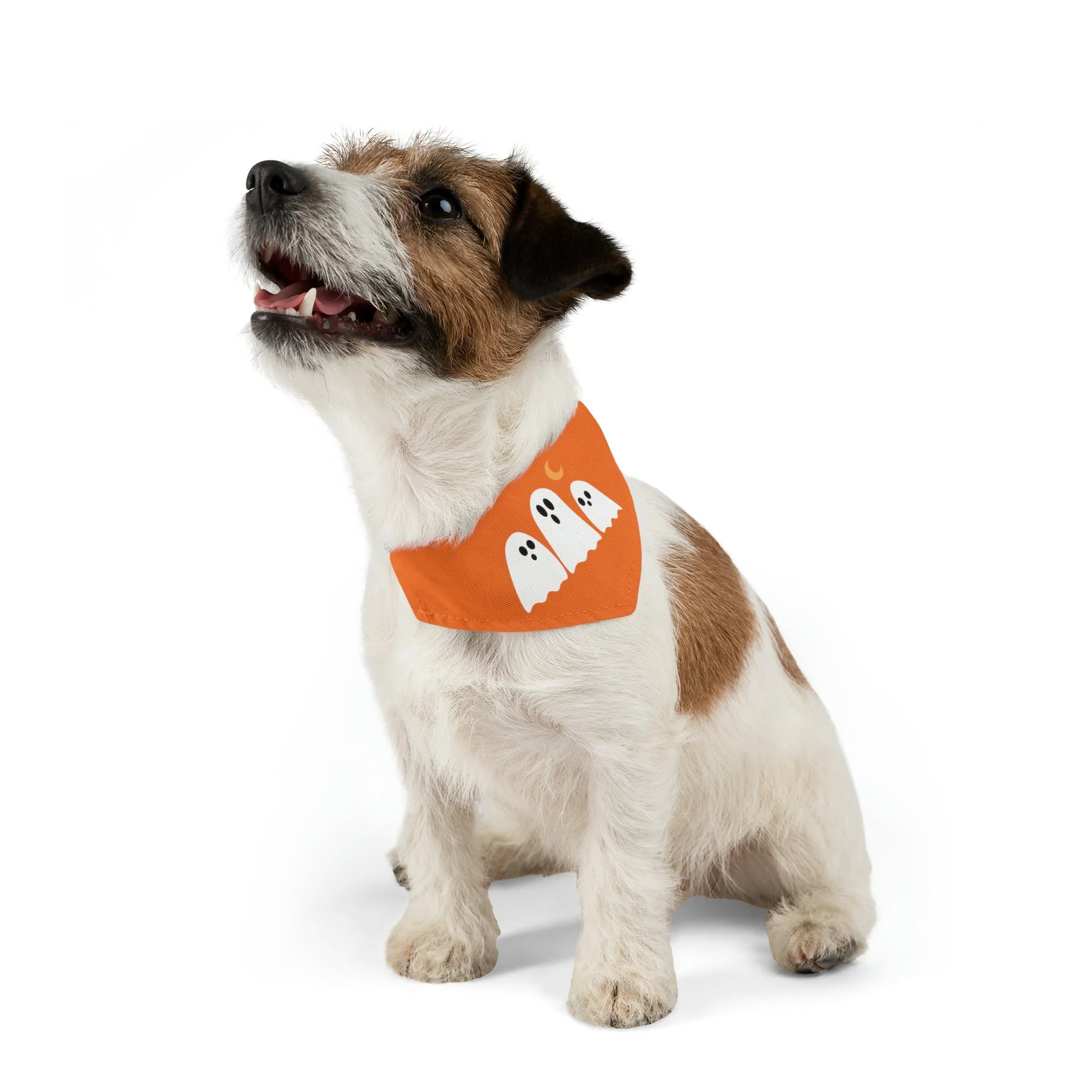Halloween Pet Bandana