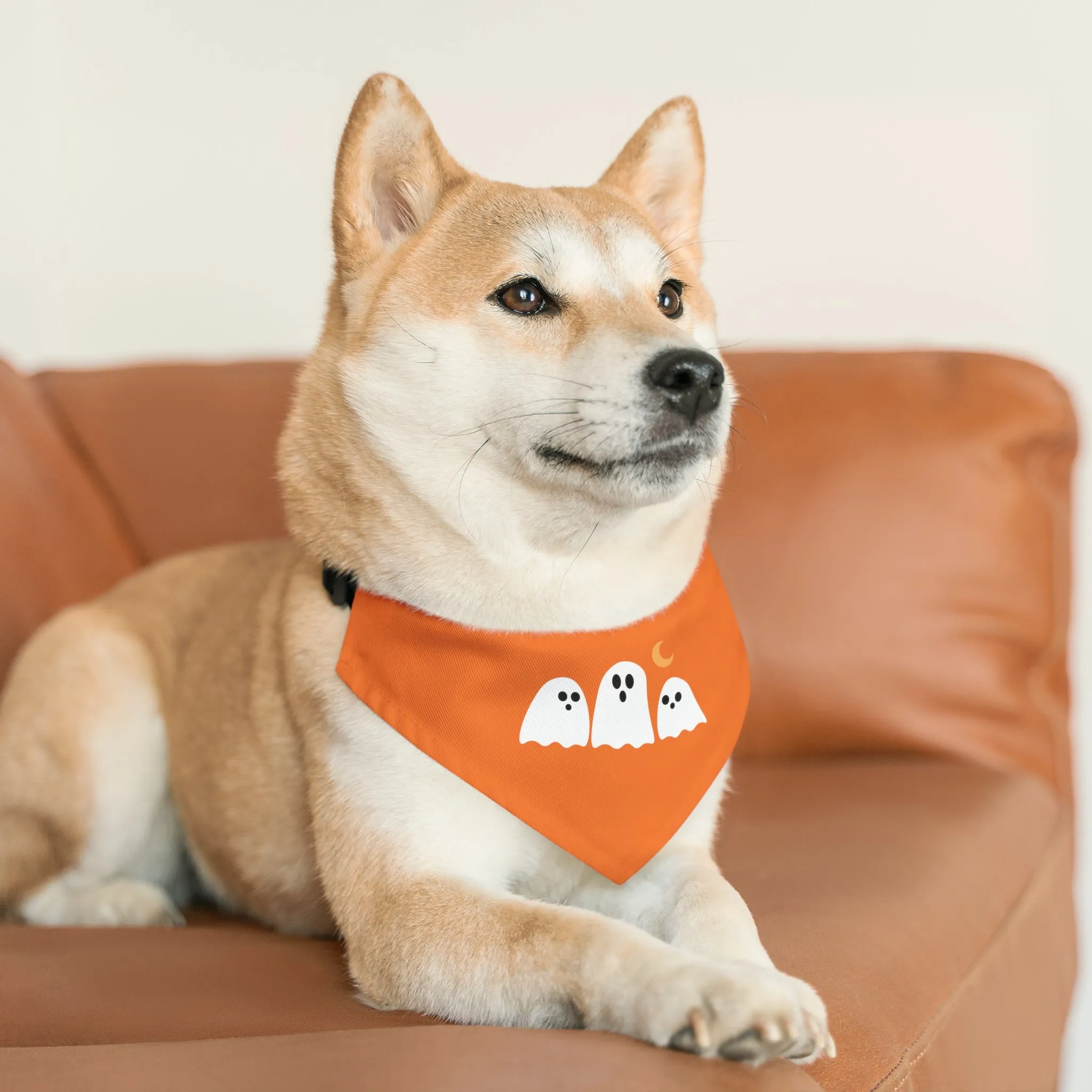 Halloween Pet Bandana