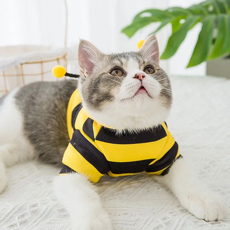 Honeybee pet sweatshirt