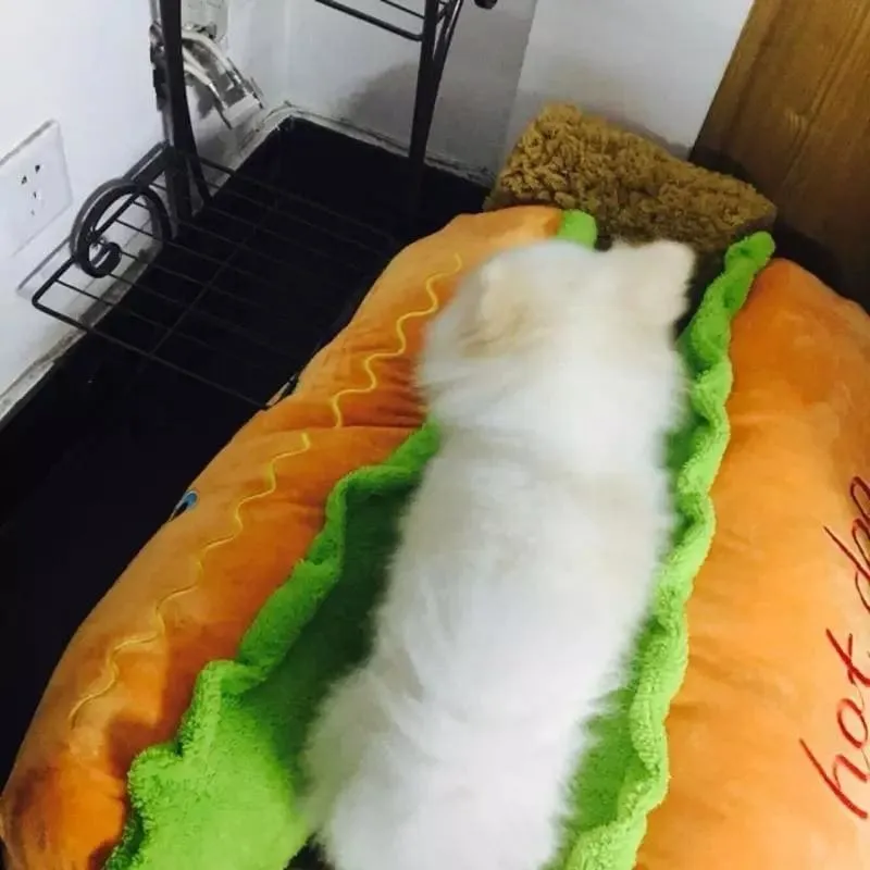 Hotdog Dog Bed