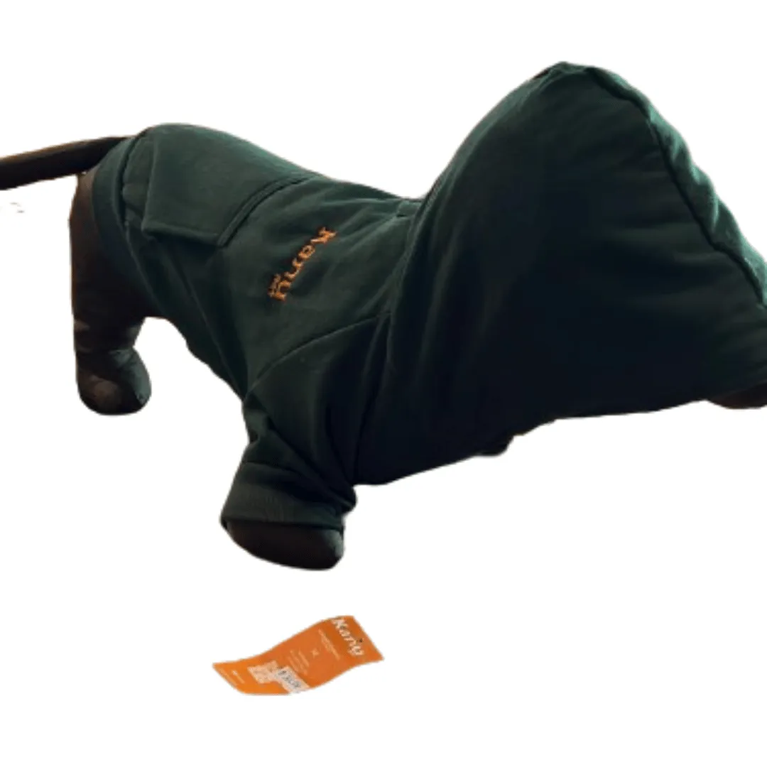Kanu Pet Green Dog Sweater