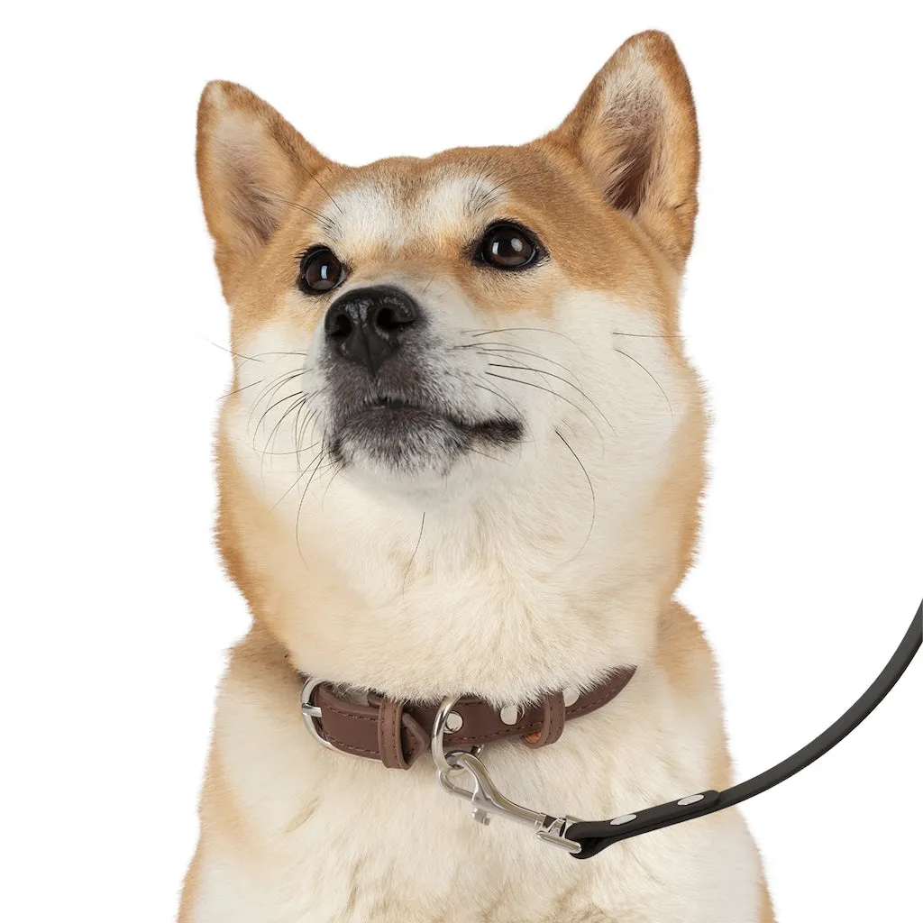 Personalized Dog Leash, Anti Microbial, Water Resistant, One Size, Black PVC Strap, White TPU Handle, FREE Shipping, Made in USA!!