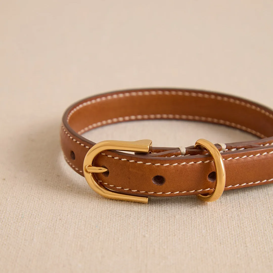 Pet Collar 15 in Luggage