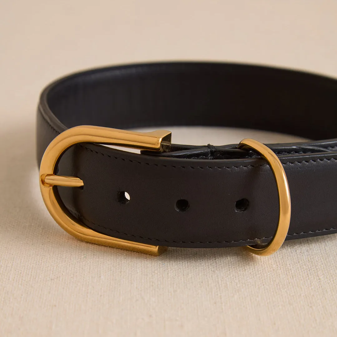 Pet Collar 30 in Black