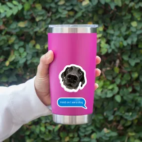 Water Bottle Stickers