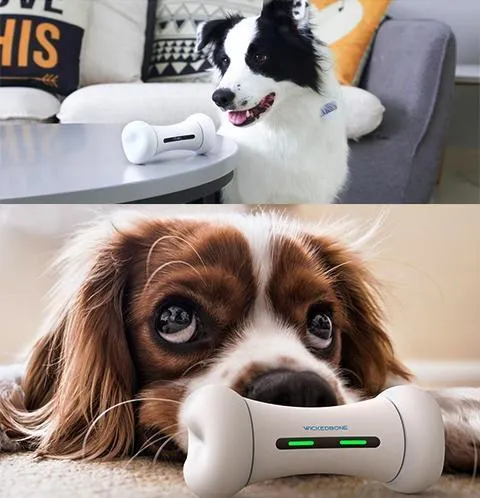 Wickedbone  Smart & Interactive Dog Chewing Toy
