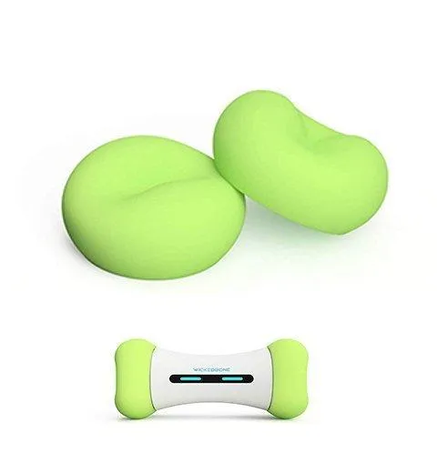 Wickedbone  Smart & Interactive Dog Chewing Toy