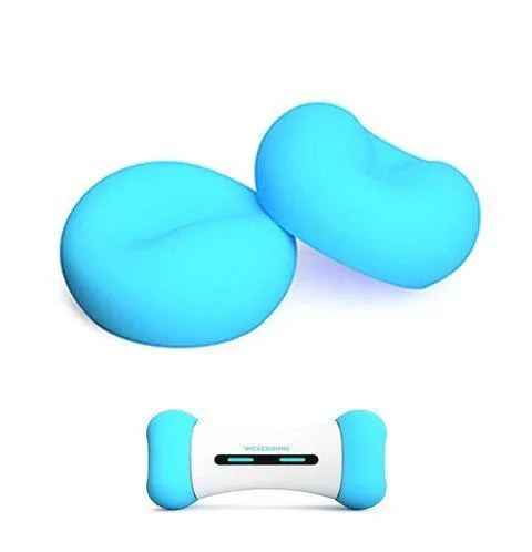 Wickedbone  Smart & Interactive Dog Chewing Toy